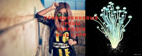 прущие крисы Алзамай