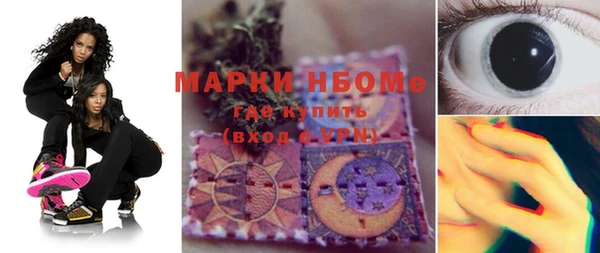 гашик Алексеевка