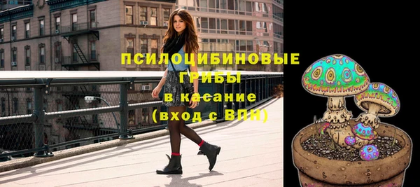 гашик Алексеевка